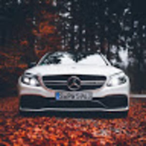 Meet your Posher, Brayan